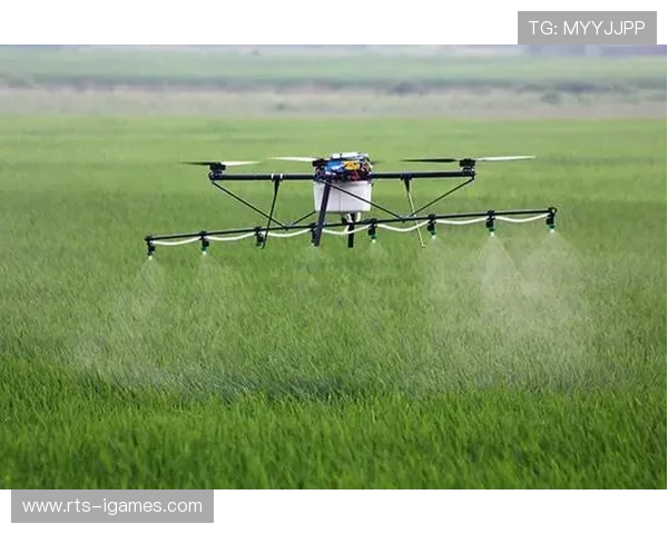 行业组织牵头制定数字资产分类指南，促进管理规范化